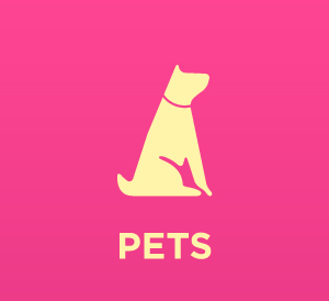 JIBGO - จิ๊บโก จำหน่ายสินค้าหลากหลาย และคุณภาพดี | Pets